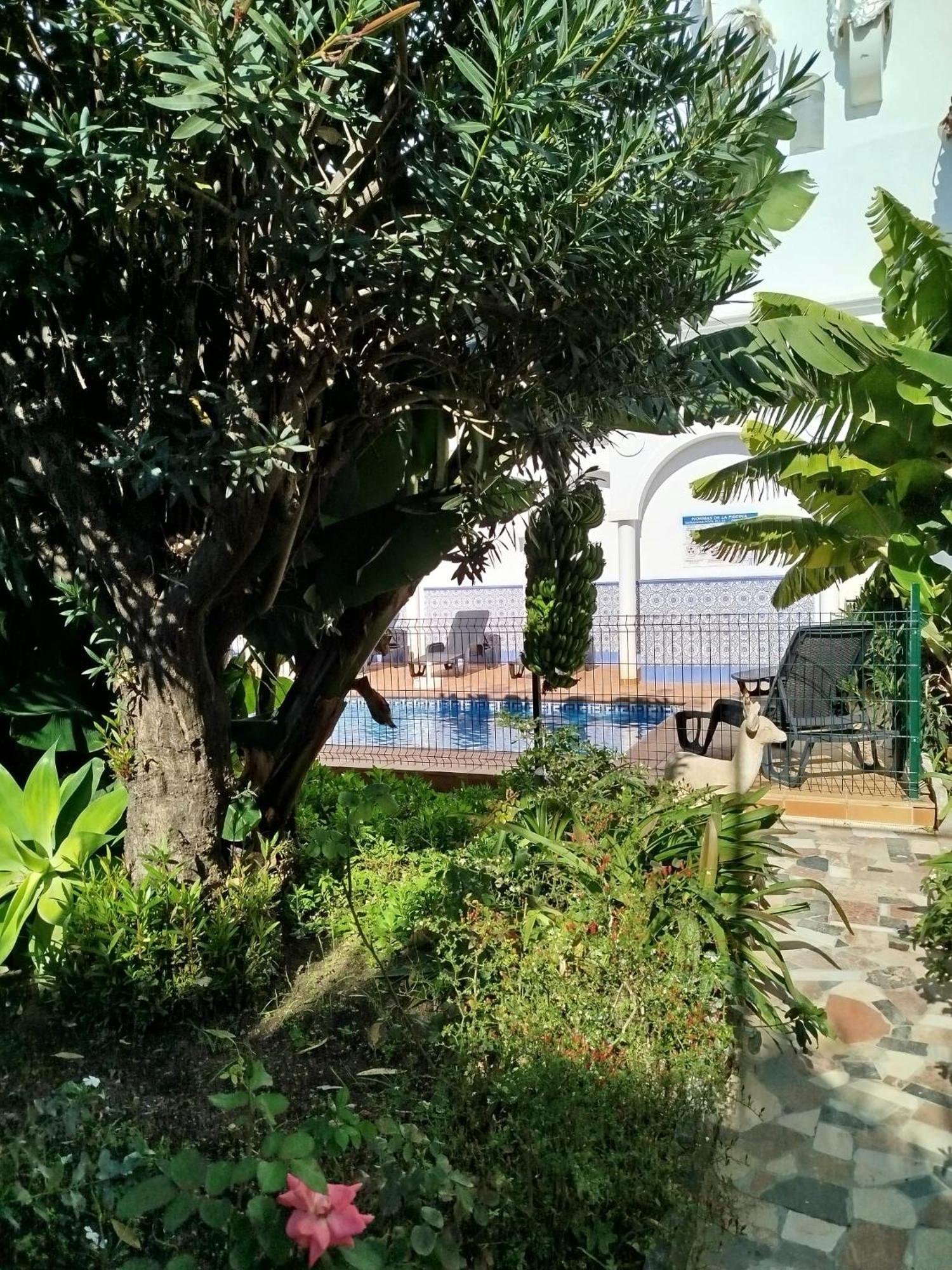 El Jardin Benerja Lägenhet Exteriör bild